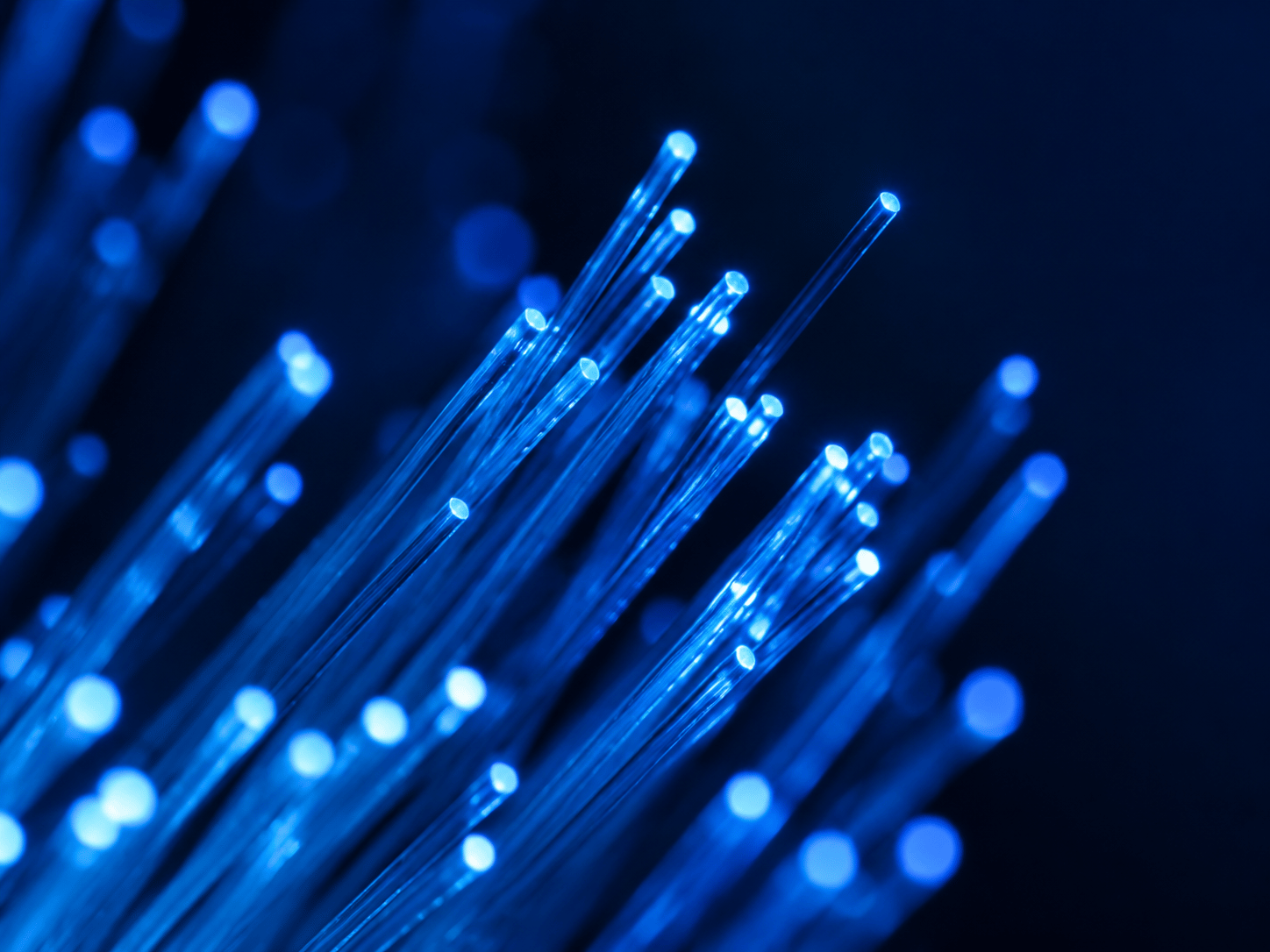 Macro photograph of fiber-optic cable tips glowing blue